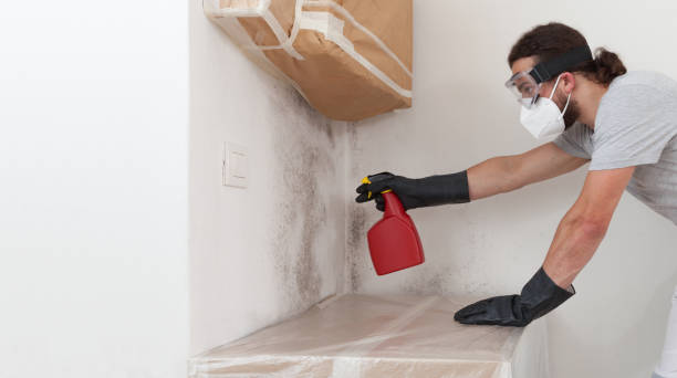 Professional Mold Testing technician working in Auburndale, MA